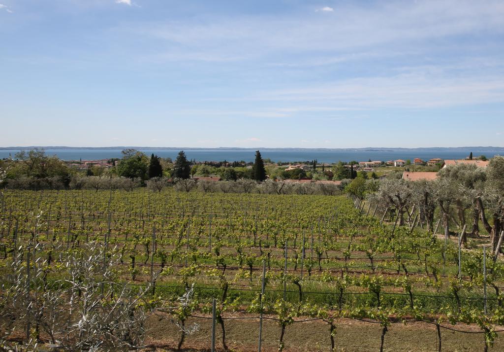 Appartamenti Bellavista Bardolino Exteriör bild